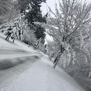 Meet your Posher, Beatriz